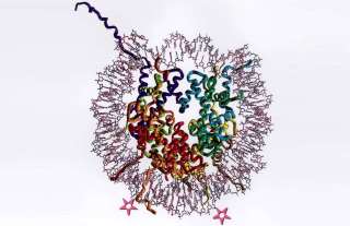 TUBGCP3 cDNA Clone[TUBGCP3] | Technique alternative | 02015239135
